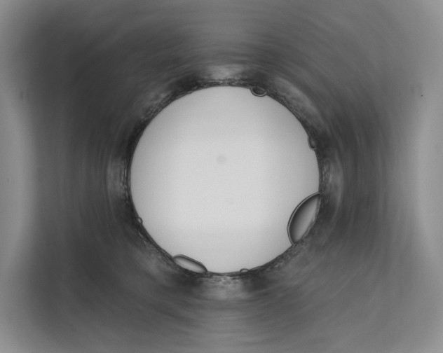 X0000111610421200908071334