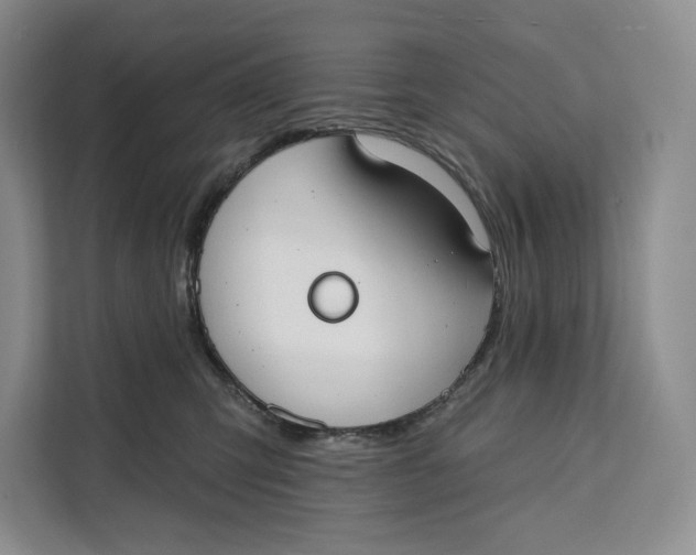X0000111610423200908071334