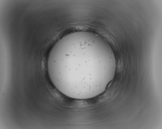 X0000111610424200908071334