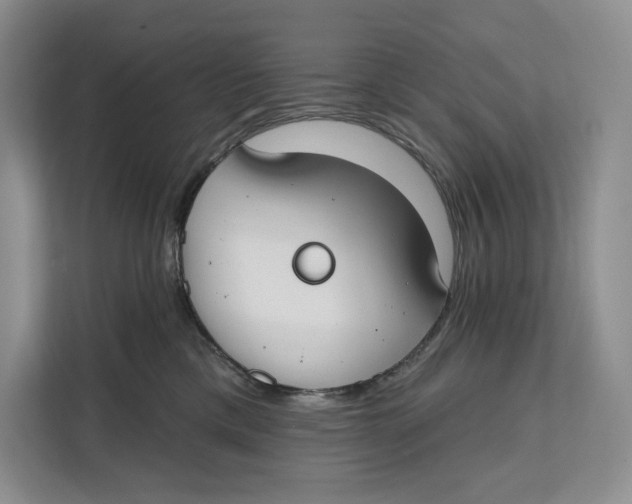 X0000111610425200908071334