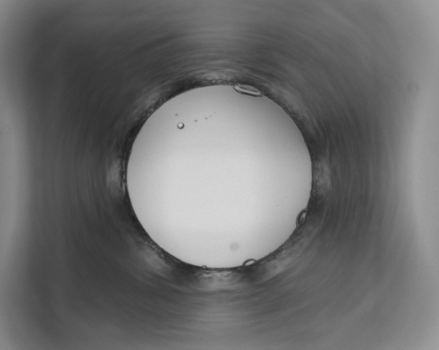 X0000111610428200908071334