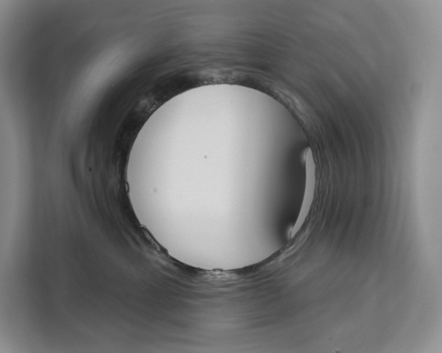 X0000111610429200908071334