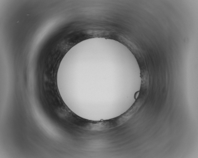 X0000111610430200908071334