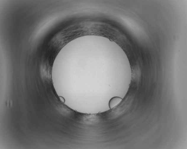 X0000111610431200908071334