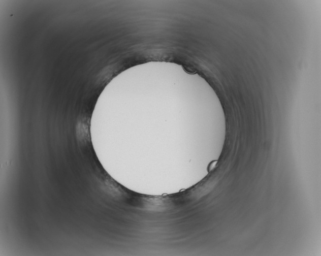 X0000111610432200908071334