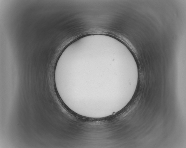 X0000111610433200908071334