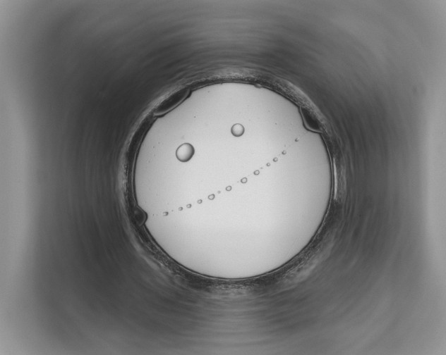 X0000111610435200908071334