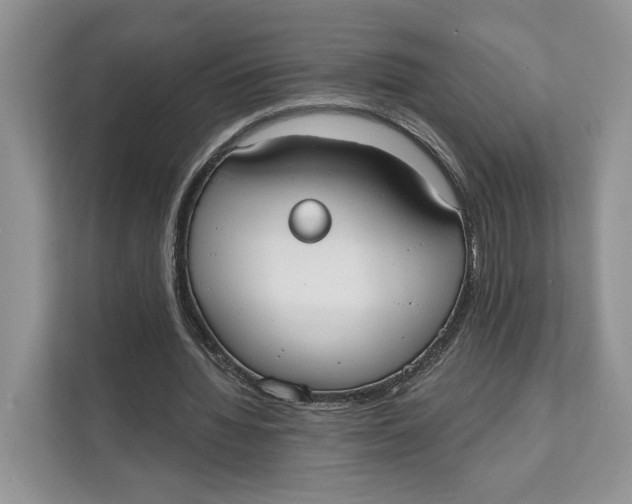 X0000111610436200908071334