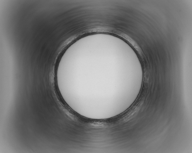 X0000111610437200908071334