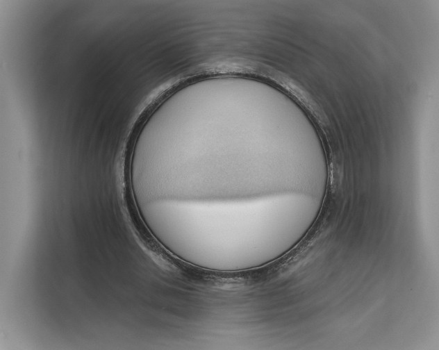 X0000111610438200908071334