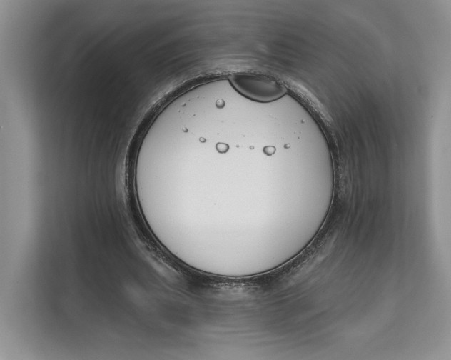 X0000111610439200908071334