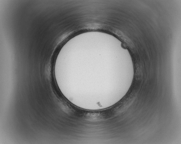 X0000111610440200908071334