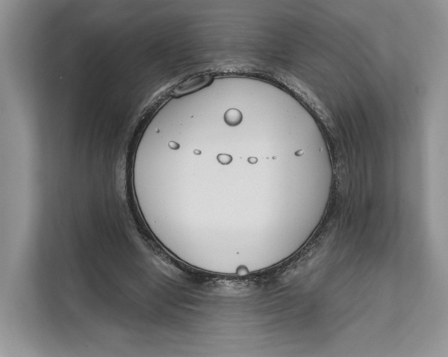 X0000111610442200908071334