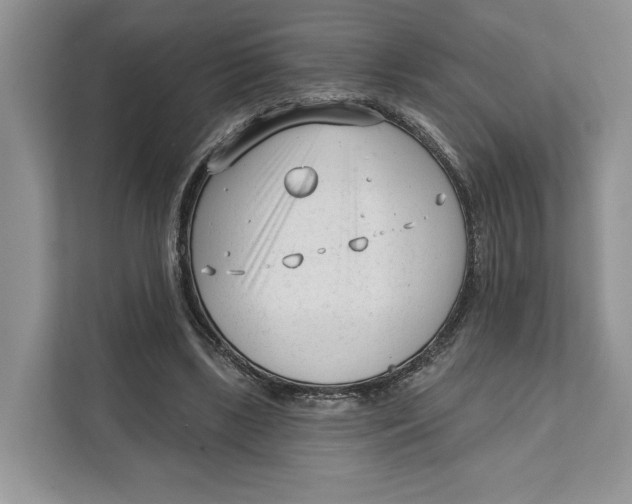X0000111610443200908071334
