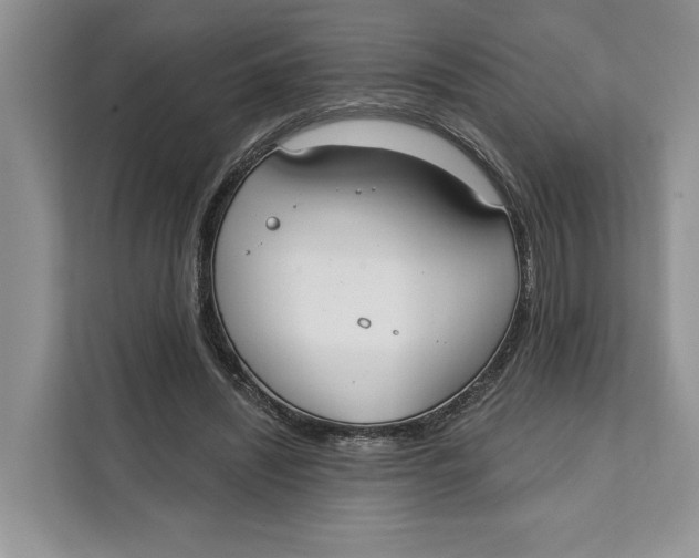 X0000111610444200908071334
