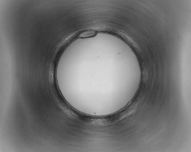 X0000111610446200908071334