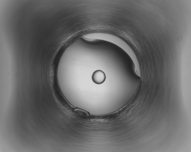X0000111610448200908071334