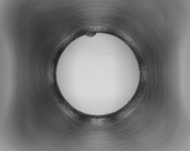 X0000111610450200908071334