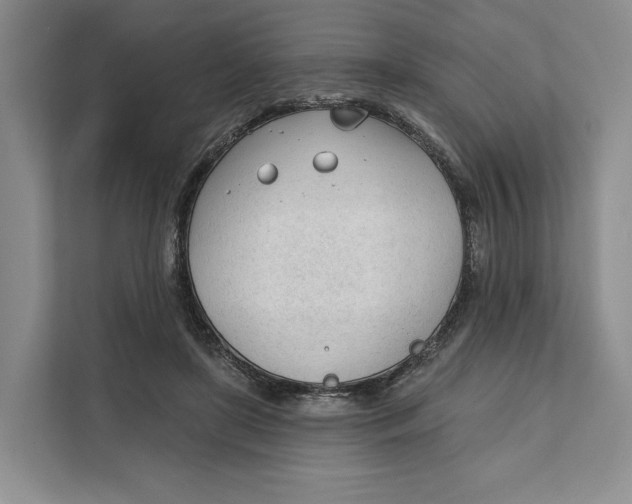 X0000111610451200908071334