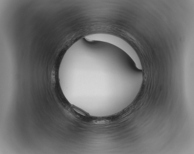 X0000111610452200908071334