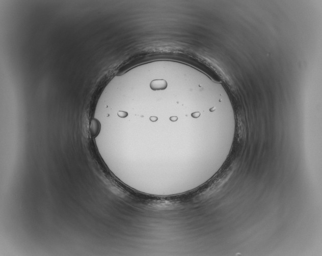 X0000111610453200908071334
