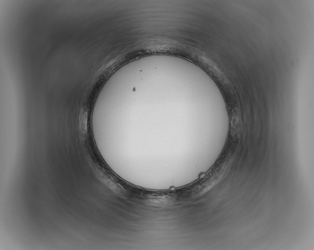 X0000111610454200908071334