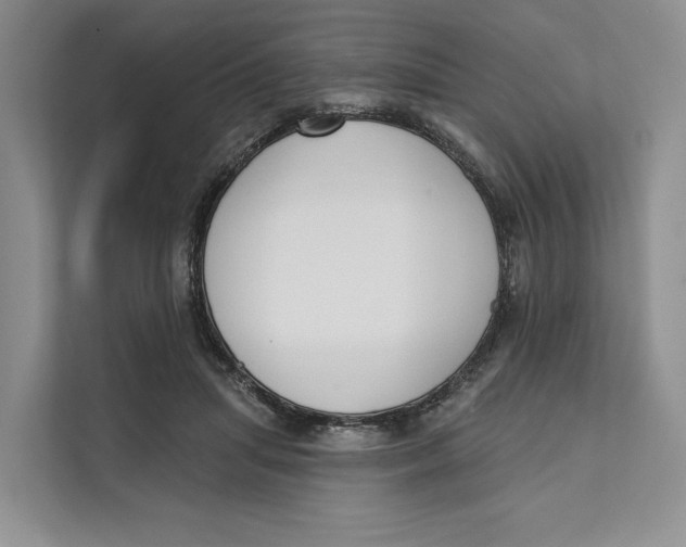 X0000111610455200908071334