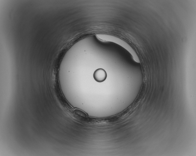 X0000111610456200908071334