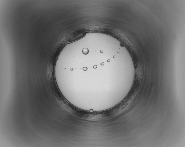 X0000111610458200908071334