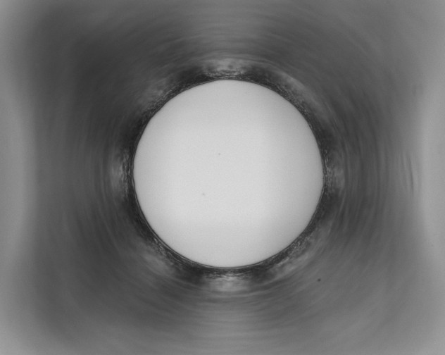 X0000111610460200908071334