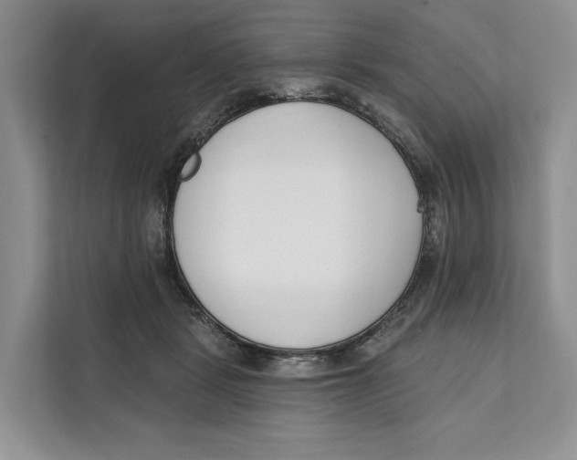 X0000111610461200908071334