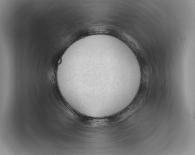 X0000111610465200908071334