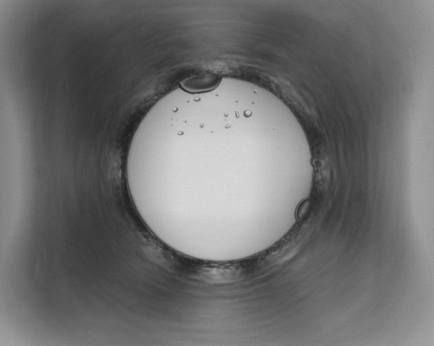 X0000111610466200908071334