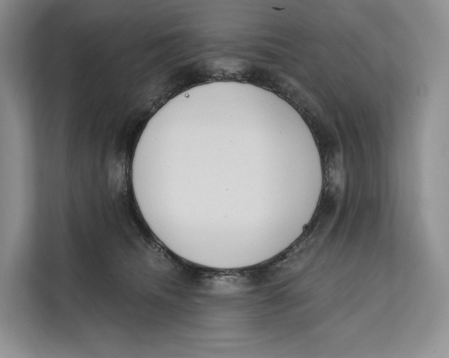 X0000111610468200908071334
