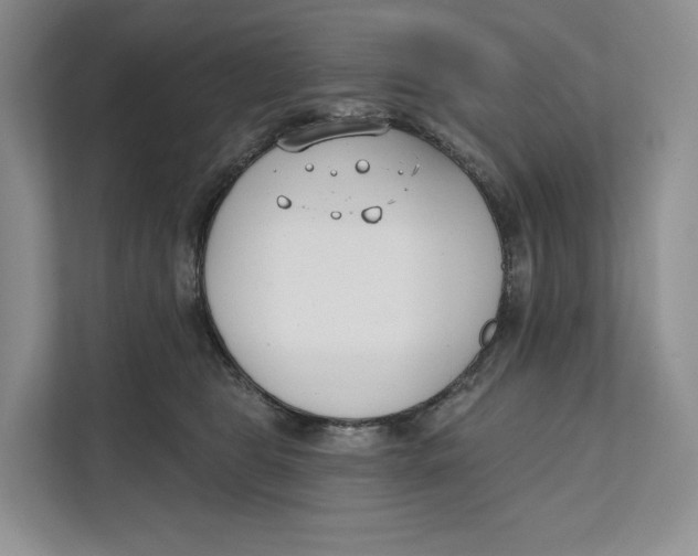X0000111610469200908071334
