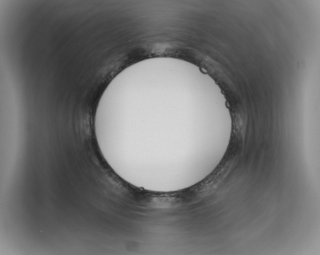 X0000111610470200908071334