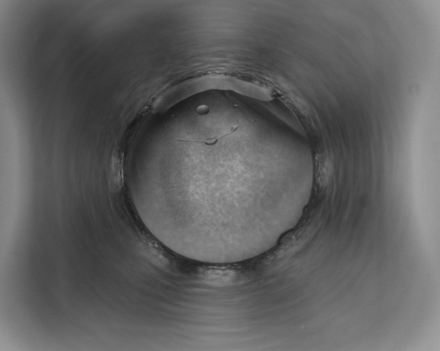 X0000111610471200908071334