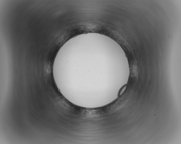 X0000111610472200908071334