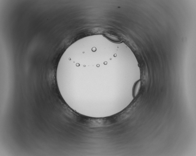 X0000111610473200908071334