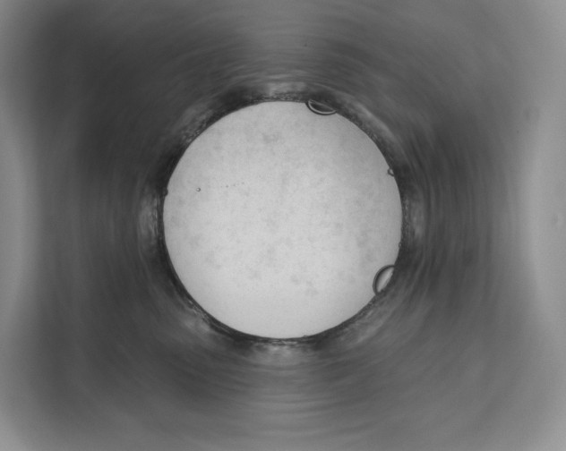 X0000111610475200908071334