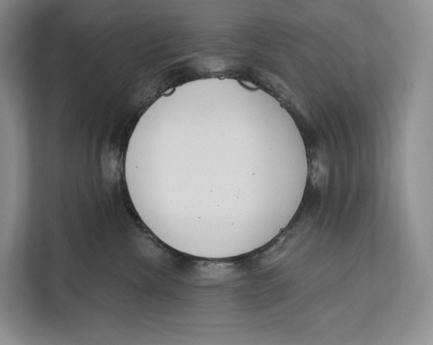 X0000111610476200908071334