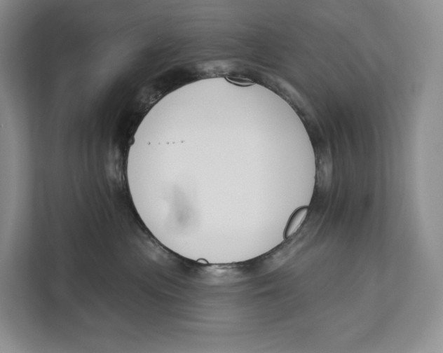 X0000111610477200908071334