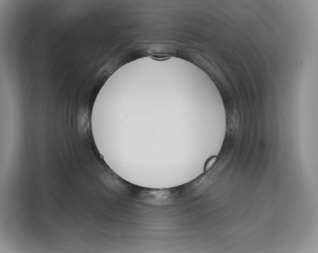 X0000111610478200908071334