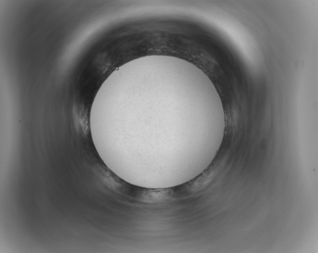 X0000111610479200908071334