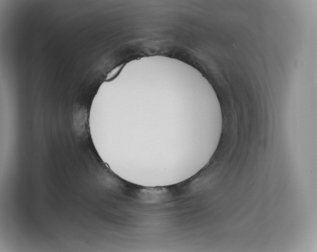 X0000111610480200908071334