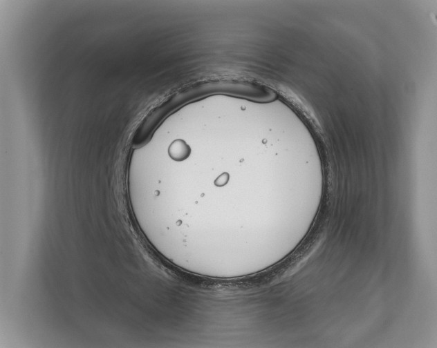 X0000111610481200908071334
