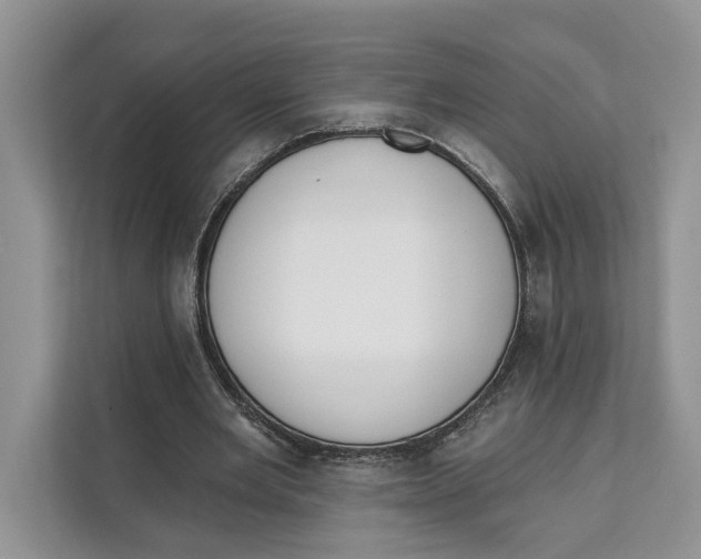 X0000111610485200908071334