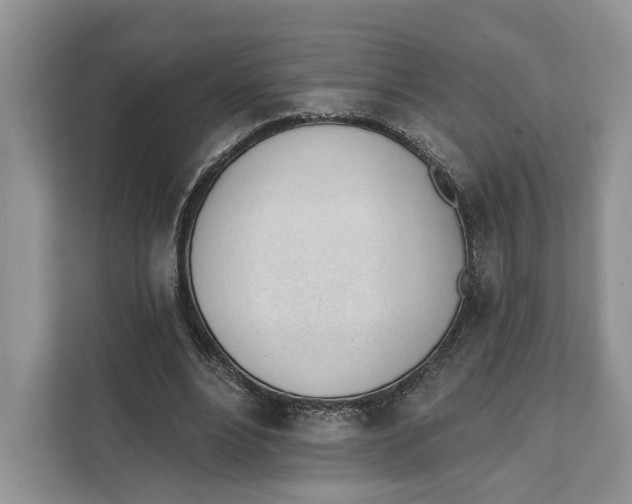 X0000111610488200908071334