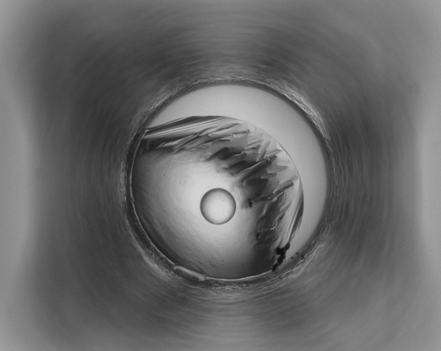 X0000111610489200908071334