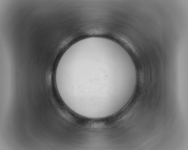 X0000111610491200908071334